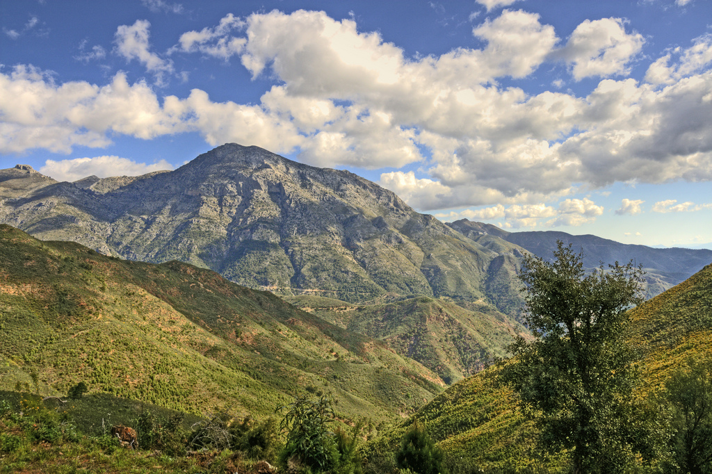 Marbella