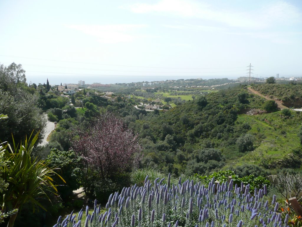 El Rosario, Marbella East