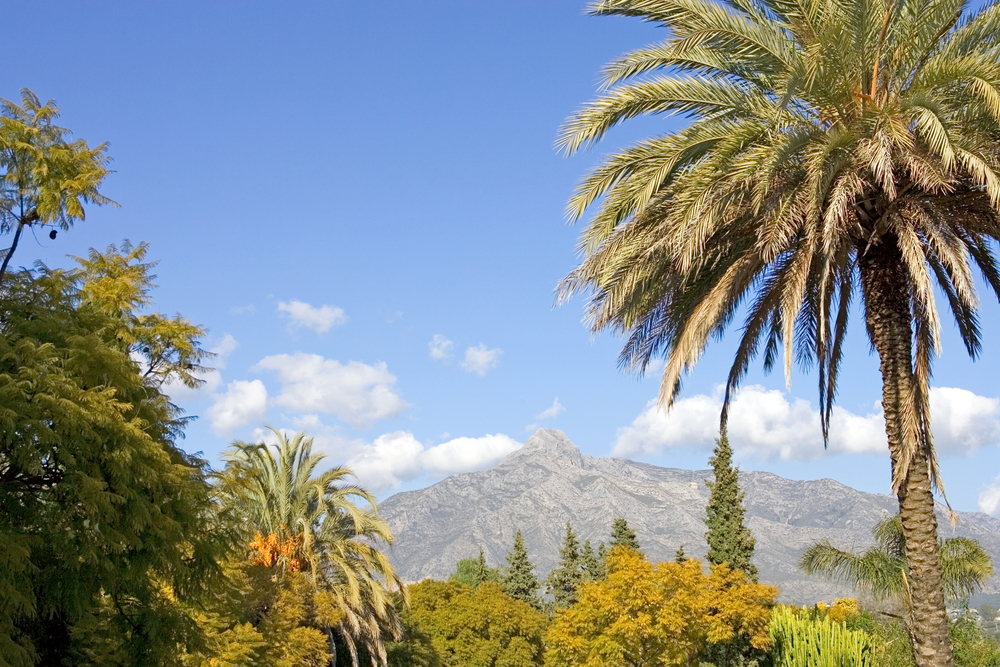 La Concha – Nature Reserve overlooking Marbella