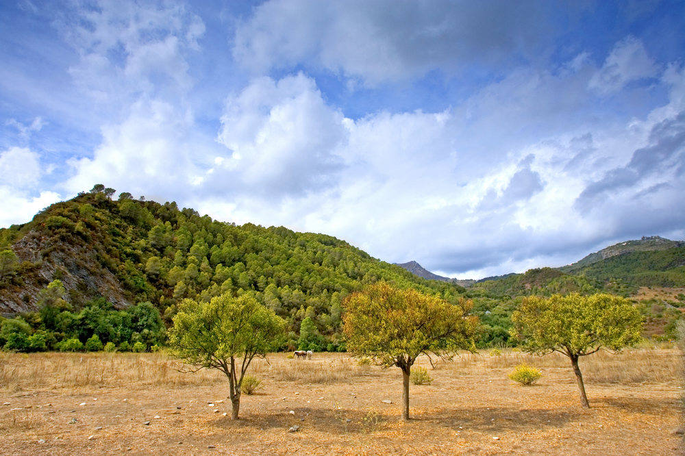 Gaucín, the artist’s choice