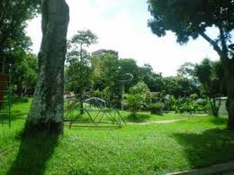 San Pedro Alcantara park