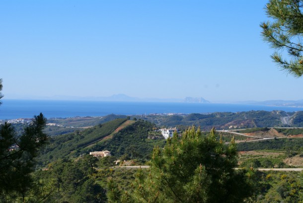 The growing demand for Marbella land