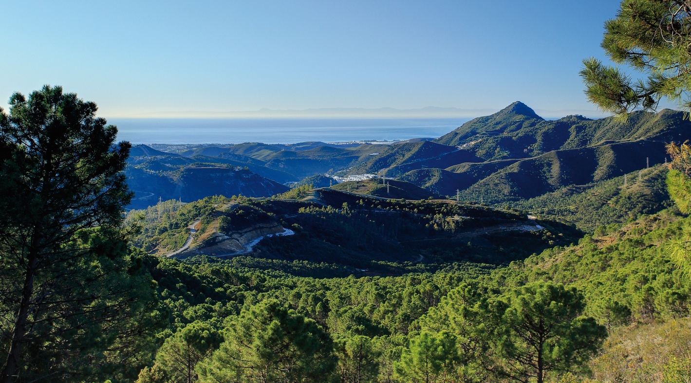 Der Wettbewerb um den Erwerb von Grundstücken in Marbella führt zum Preisanstieg