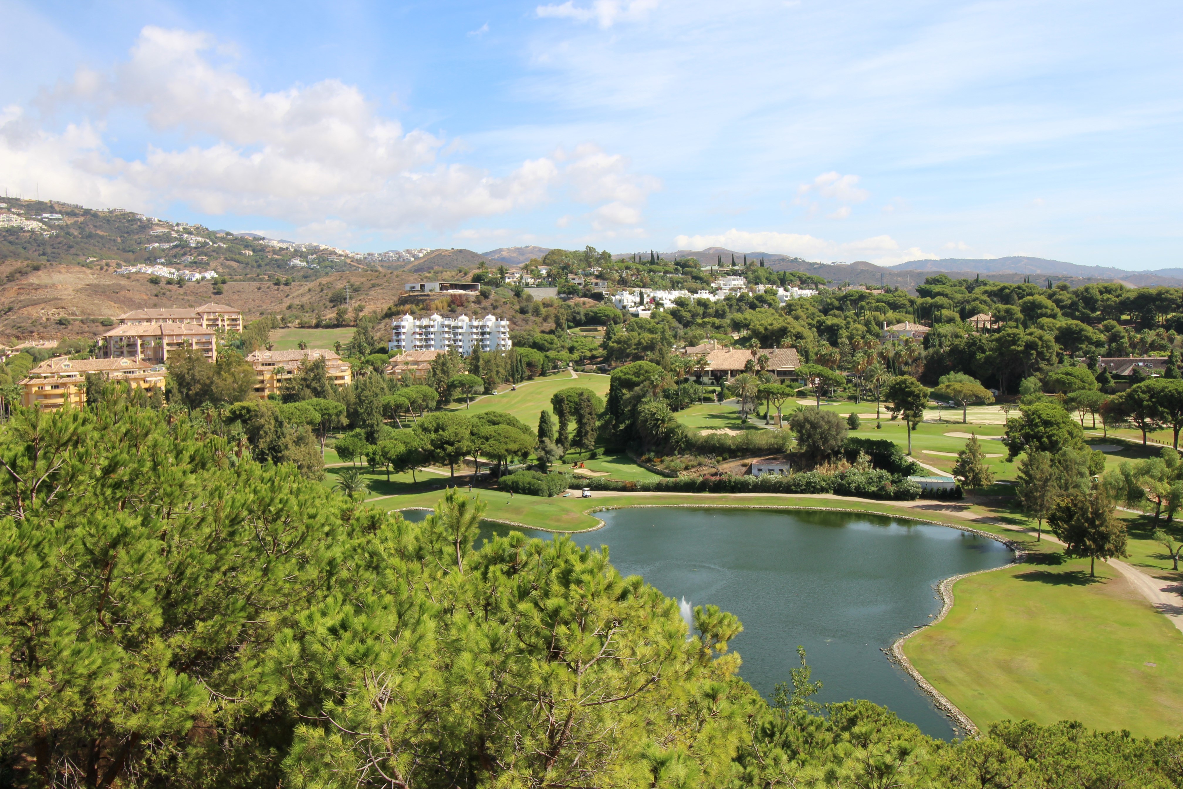 Wohnungen in Río Real, Marbella