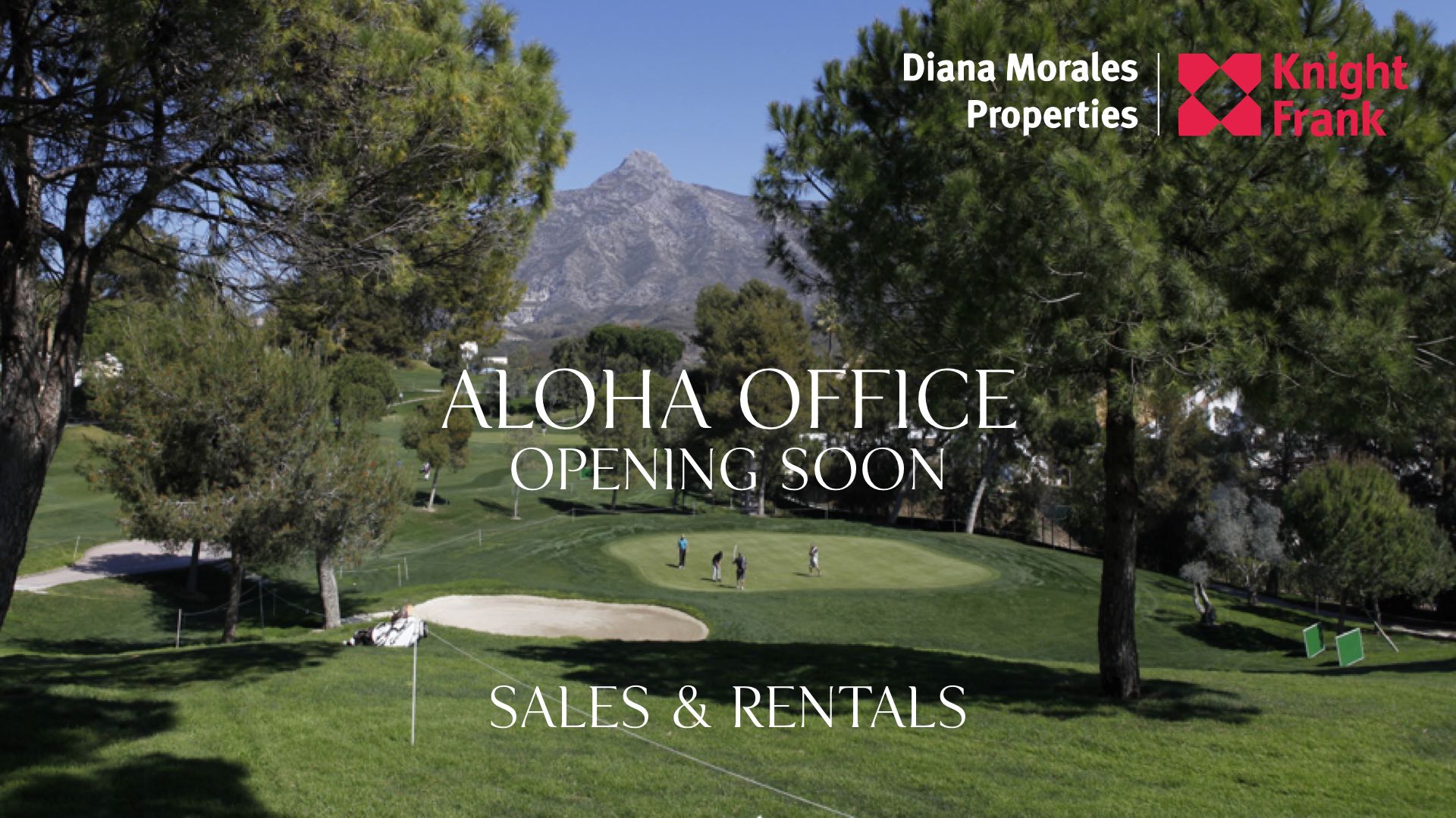 DM Properties | Knight Frank expands into new Marbella office