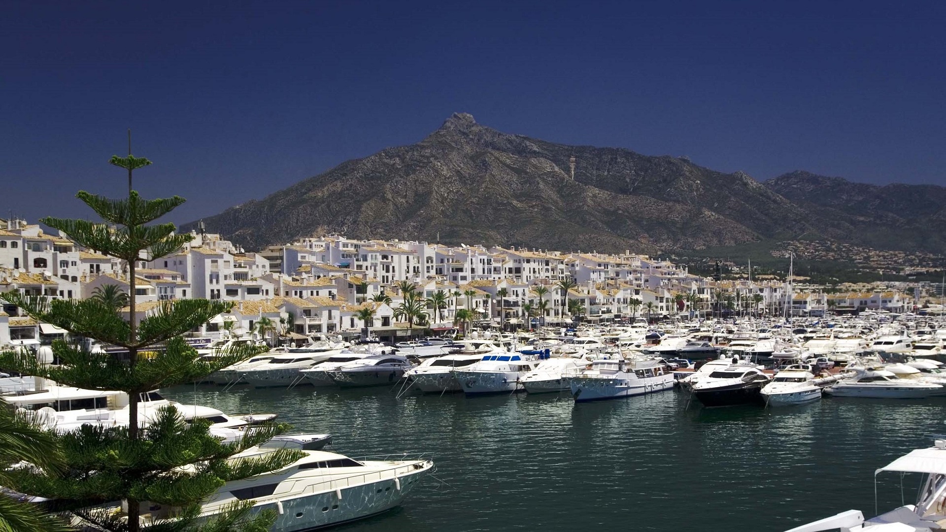 Puerto Banús, classic Mediterranean glamour