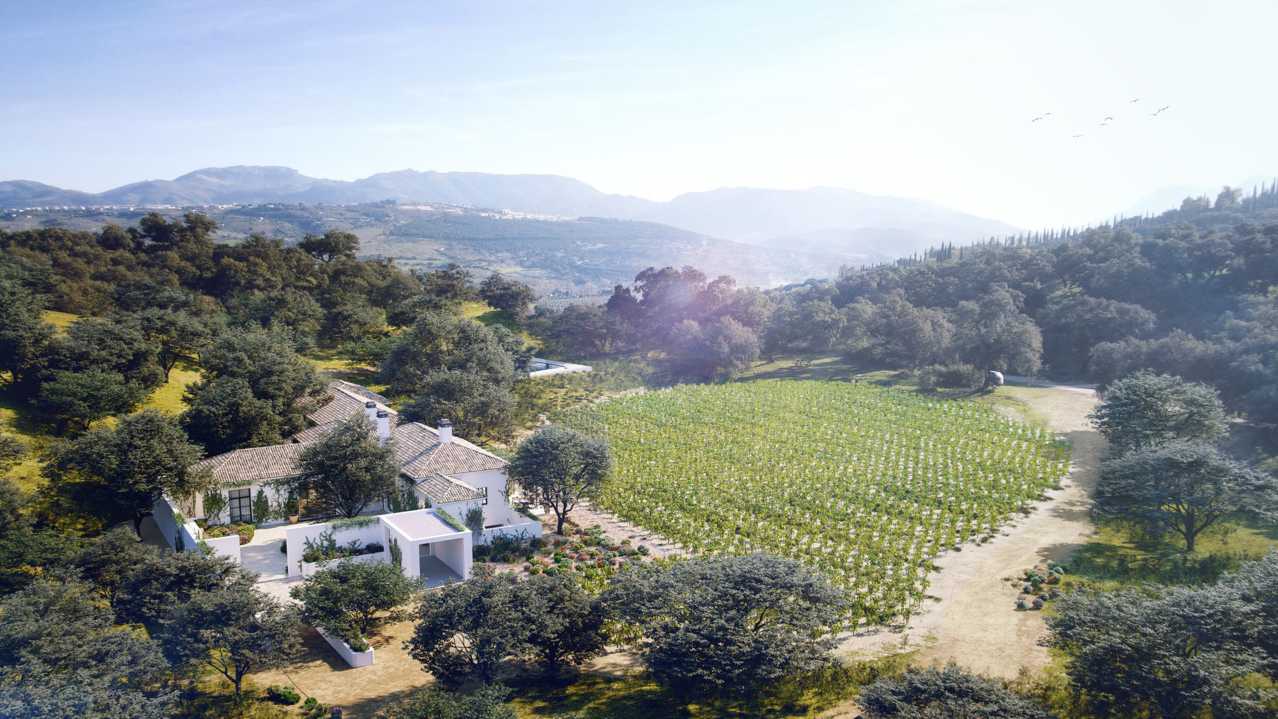 The Wine and Country Club: Un estilo de vida único